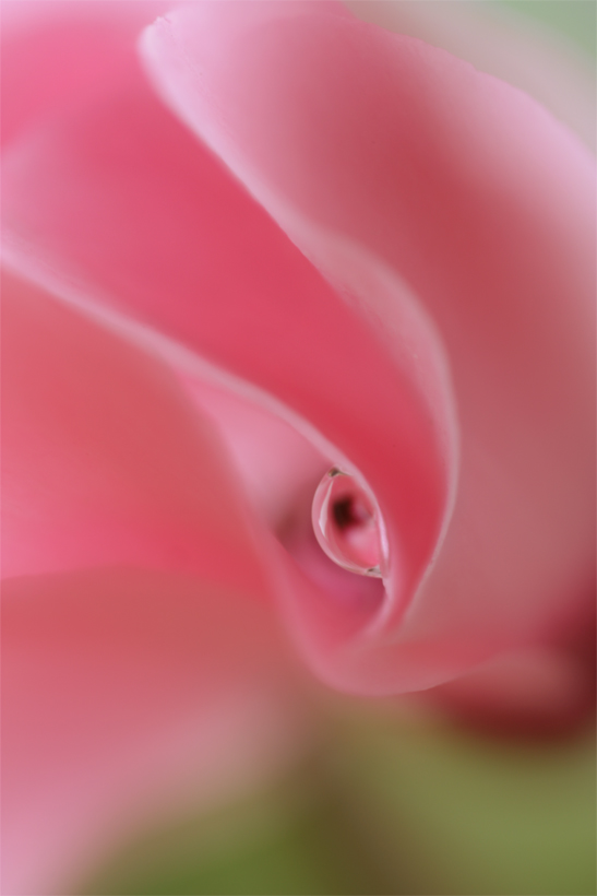 Картинки Секс Розовых